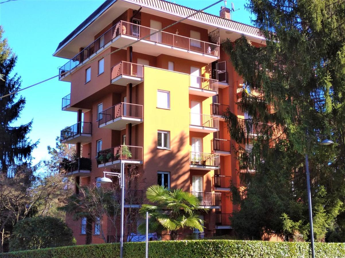 Pettirosso * Stresa