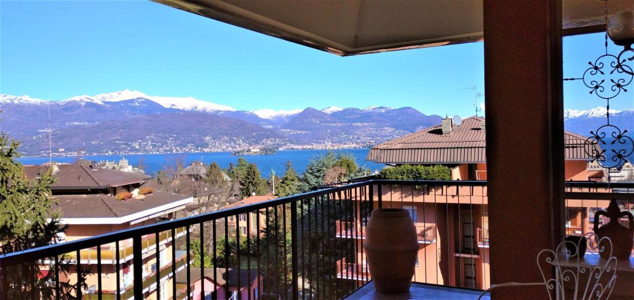 Pettirosso * Stresa